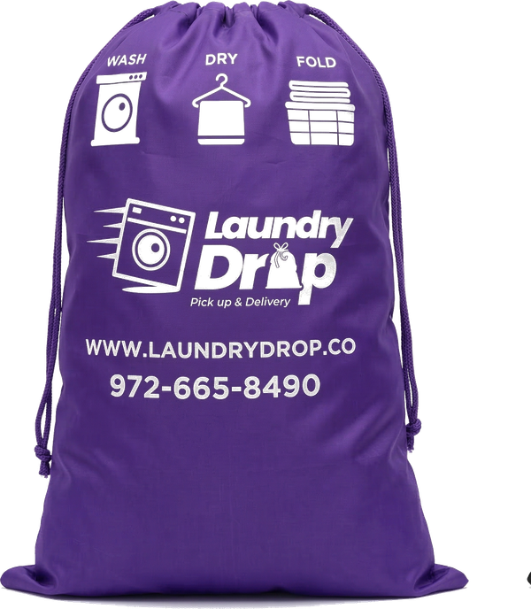 LaundryDrop Family Bag